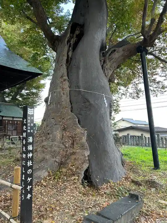 湯福神社(長野県)