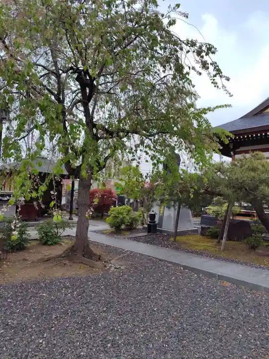 玄妙寺(山形県)