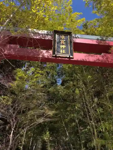 來宮神社(静岡県)