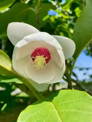 高平山遍照寺の自然
