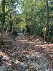 愛宕神社の自然