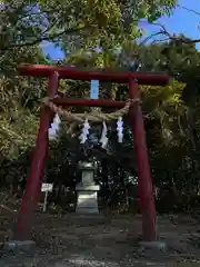 賀茂別雷神社(栃木県)