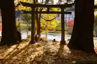 愛宕神社の鳥居