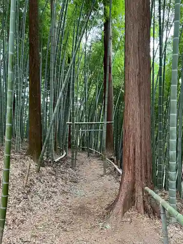 八王寺(埼玉県)