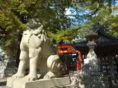 玉前神社の狛犬