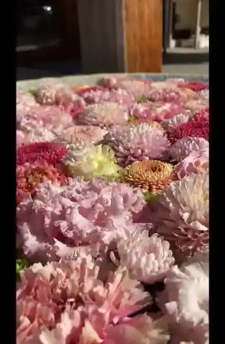 行田八幡神社の{uncategorized: "未分類", other: "その他", undefined: "問題あり", building: "その他建物", grave: "お墓", sacred_gate: "鳥居", guardian: "狛犬", statue: "像", buddha: "仏像", history: "歴史", nature: "自然", garden: "庭園", animal: "動物", pagoda: "塔", temizu: "手水舎", mountain_gate: "山門・神門", sanctuary: "本殿・本堂", subordinate: "末社・摂社", art: "芸術", scenery: "景色", jizo: "地蔵", ema: "絵馬", goshuin: "御朱印", omikuji: "おみくじ", items: "授与品その他", amulet: "お守り", goshuincho: "御朱印帳", eats: "食事", festival: "お祭り", votive_dance: "神楽", shichigosan: "七五三参", wedding: "結婚式", experience: "体験その他", initially: "初詣", around: "周辺", anti_infection: "感染症対策"}