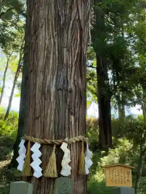 諏訪大社下社春宮(長野県)