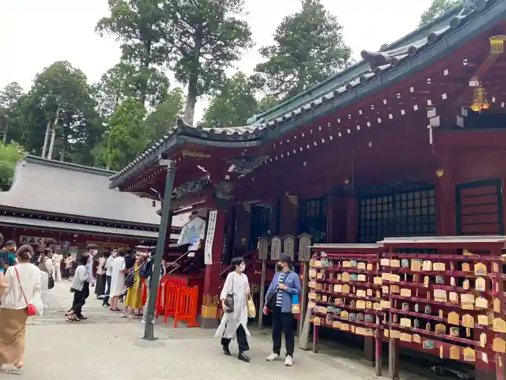 箱根神社の本殿・本堂