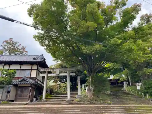 美和神社の鳥居