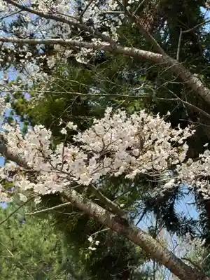 隠津島神社(福島県)