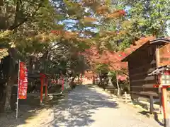 大原野神社の景色