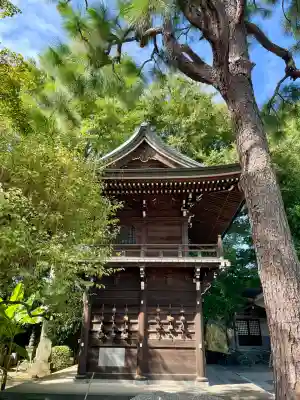 大円寺(東京都)
