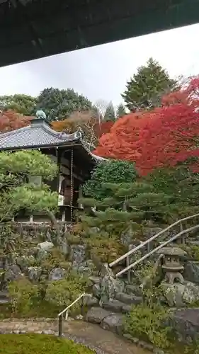 霊鑑寺門跡の庭園