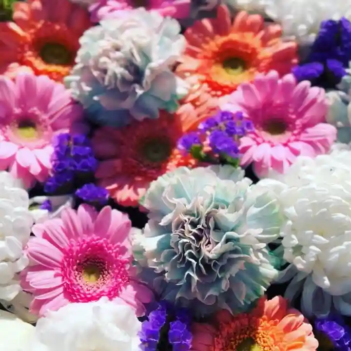 鹿島台神社(宮城県)