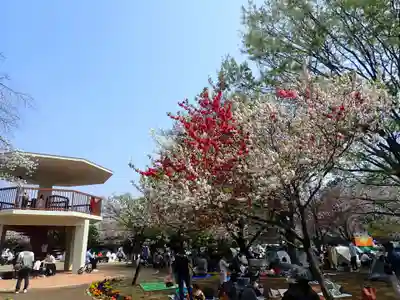 天照皇大神(神奈川県)
