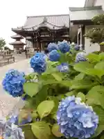 長慶寺の自然
