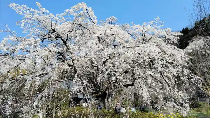 法善寺(埼玉県)