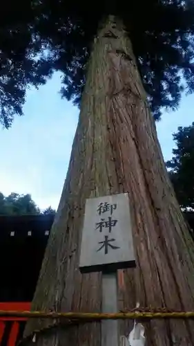 鎮神社の自然