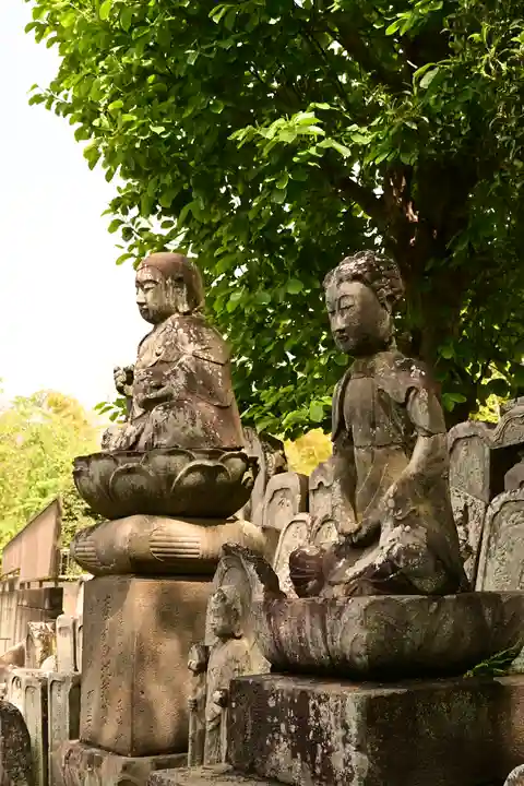 慈恩寺(埼玉県)