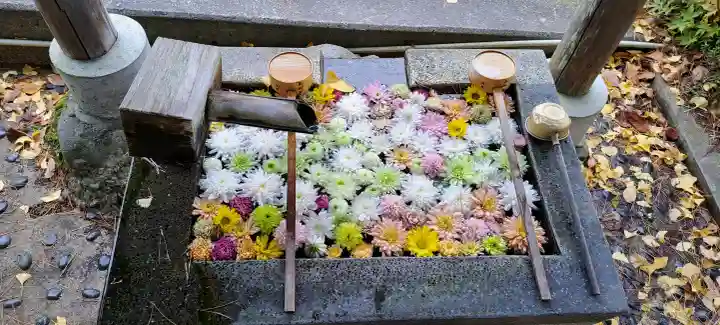 岳温泉神社 の{uncategorized: "未分類", other: "その他", undefined: "問題あり", building: "その他建物", grave: "お墓", sacred_gate: "鳥居", guardian: "狛犬", statue: "像", buddha: "仏像", history: "歴史", nature: "自然", garden: "庭園", animal: "動物", pagoda: "塔", temizu: "手水舎", mountain_gate: "山門・神門", sanctuary: "本殿・本堂", subordinate: "末社・摂社", art: "芸術", scenery: "景色", jizo: "地蔵", ema: "絵馬", goshuin: "御朱印", omikuji: "おみくじ", items: "授与品その他", amulet: "お守り", goshuincho: "御朱印帳", eats: "食事", festival: "お祭り", votive_dance: "神楽", shichigosan: "七五三参", wedding: "結婚式", experience: "体験その他", initially: "初詣", around: "周辺", anti_infection: "感染症対策"}