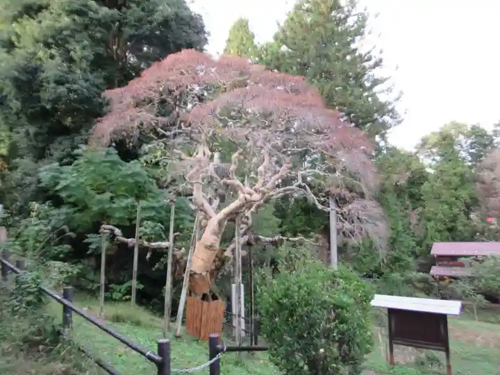 幸神神社(東京都)
