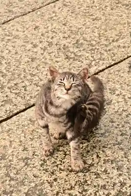 琴彈八幡宮(香川県)