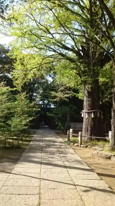 赤坂氷川神社(東京都)