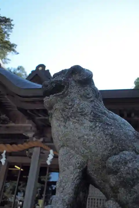 加賀神明宮の狛犬