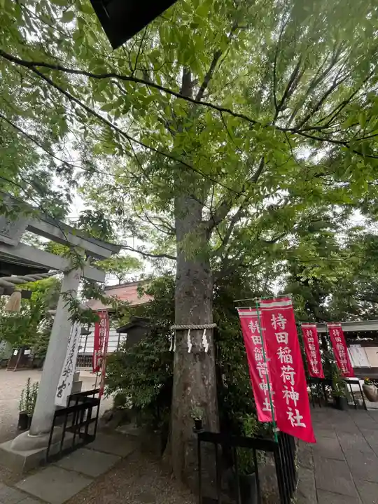 前川神社(埼玉県)