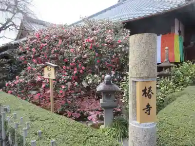 地蔵院（椿寺）のその他建物