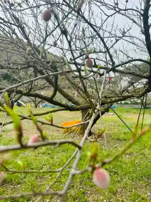 秋葉神社(和歌山県)