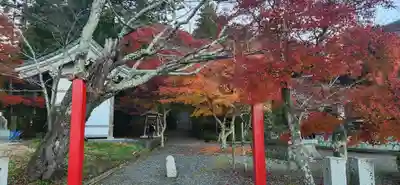 宝蔵寺の周辺