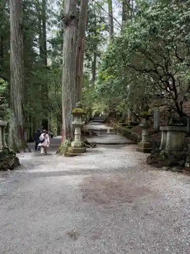 三峯神社の{uncategorized: "未分類", other: "その他", undefined: "問題あり", building: "その他建物", grave: "お墓", sacred_gate: "鳥居", guardian: "狛犬", statue: "像", buddha: "仏像", history: "歴史", nature: "自然", garden: "庭園", animal: "動物", pagoda: "塔", temizu: "手水舎", mountain_gate: "山門・神門", sanctuary: "本殿・本堂", subordinate: "末社・摂社", art: "芸術", scenery: "景色", jizo: "地蔵", ema: "絵馬", goshuin: "御朱印", omikuji: "おみくじ", items: "授与品その他", amulet: "お守り", goshuincho: "御朱印帳", eats: "食事", festival: "お祭り", votive_dance: "神楽", shichigosan: "七五三参", wedding: "結婚式", experience: "体験その他", initially: "初詣", around: "周辺", anti_infection: "感染症対策"}