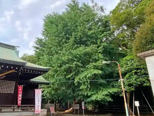 峯ヶ岡八幡神社の自然