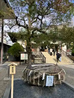 亀戸 香取神社(東京都)