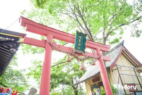 須賀神社の鳥居