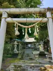 藏皇神社の鳥居