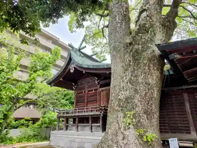 堀江神社(佐賀県)