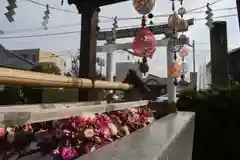 豊景神社の手水