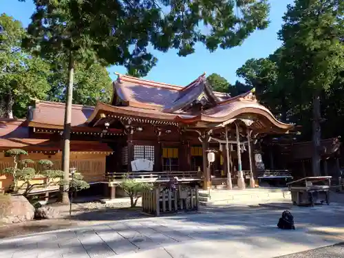 大麻比古神社の本殿・本堂