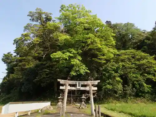 天日名鳥命神社の鳥居