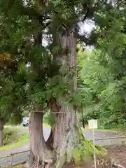 高龗神社(新潟県)