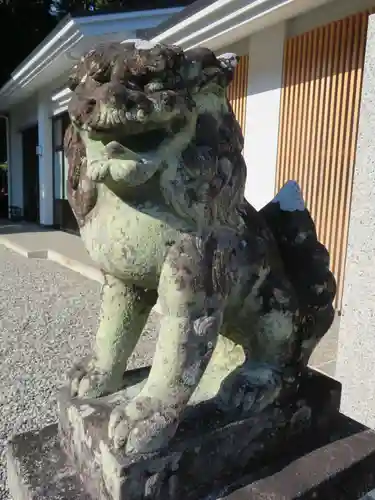 猿田彦神社の狛犬