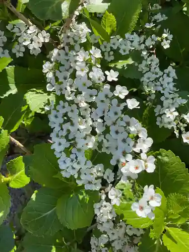 三輪神社(愛知県)