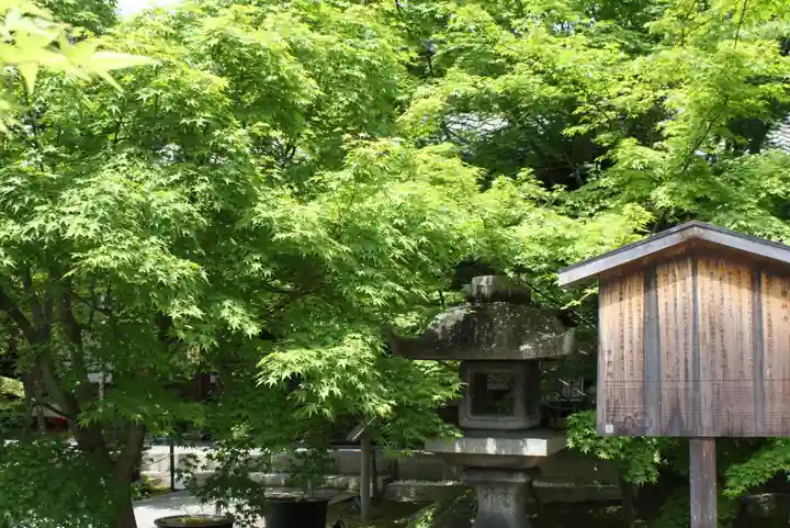 勝林寺(京都府)