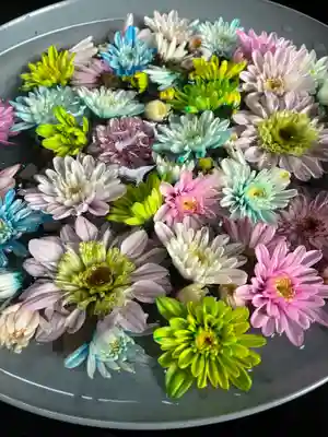 下野 星宮神社(栃木県)