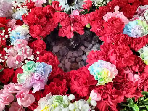 札幌諏訪神社の手水舎