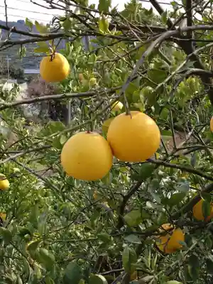 河内阿蘇神社(熊本県)