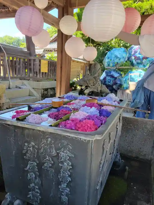 柳谷観音 楊谷寺(京都府)