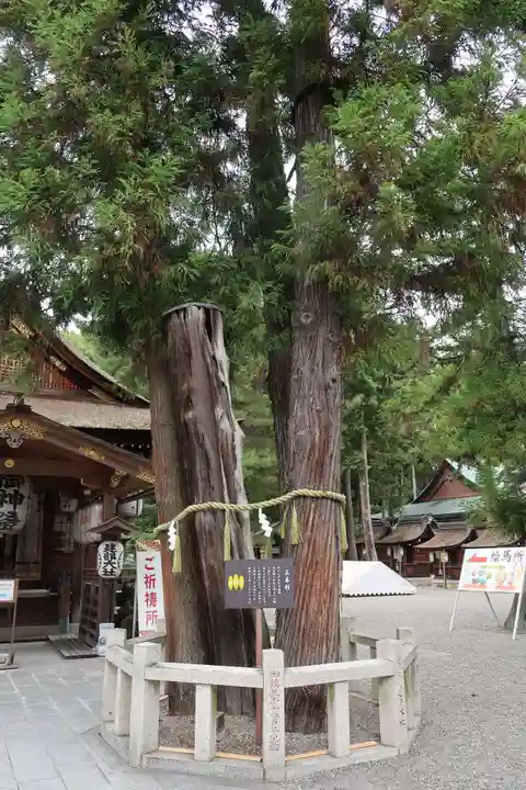 建部大社(滋賀県)